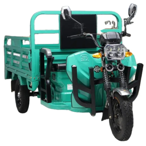 Electric Tricycle 3 Wheel Electric Tricycles Motorcycle Three Wheel Adult