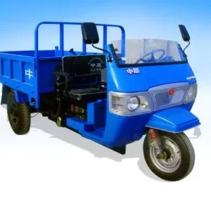 Electro-Tricycle High Quality Sturdy for Long Time Use, Wholesale